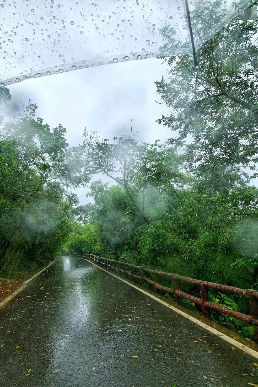山为画屏雨为墨,雨中的马陵山比晴天趣味更甚!