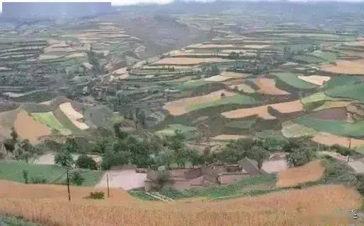 葛崾岘乡地处庆阳县中部山区,主要以林果,黄花,养殖为主的基础农业乡.