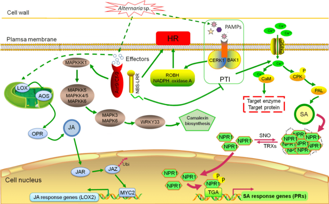 了河南师范大学赵喜亭副教授课题组题为the integration of tranomic