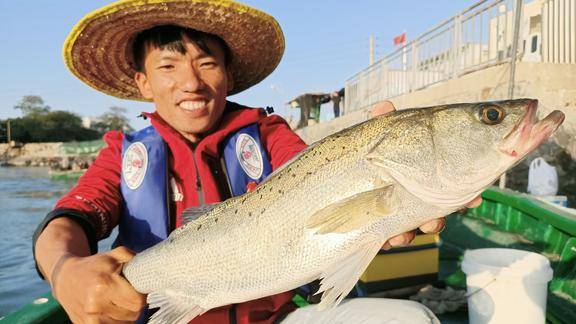 漁村兄弟早早買一斤活蝦去釣魚,釣到這些魚,村長又激動了