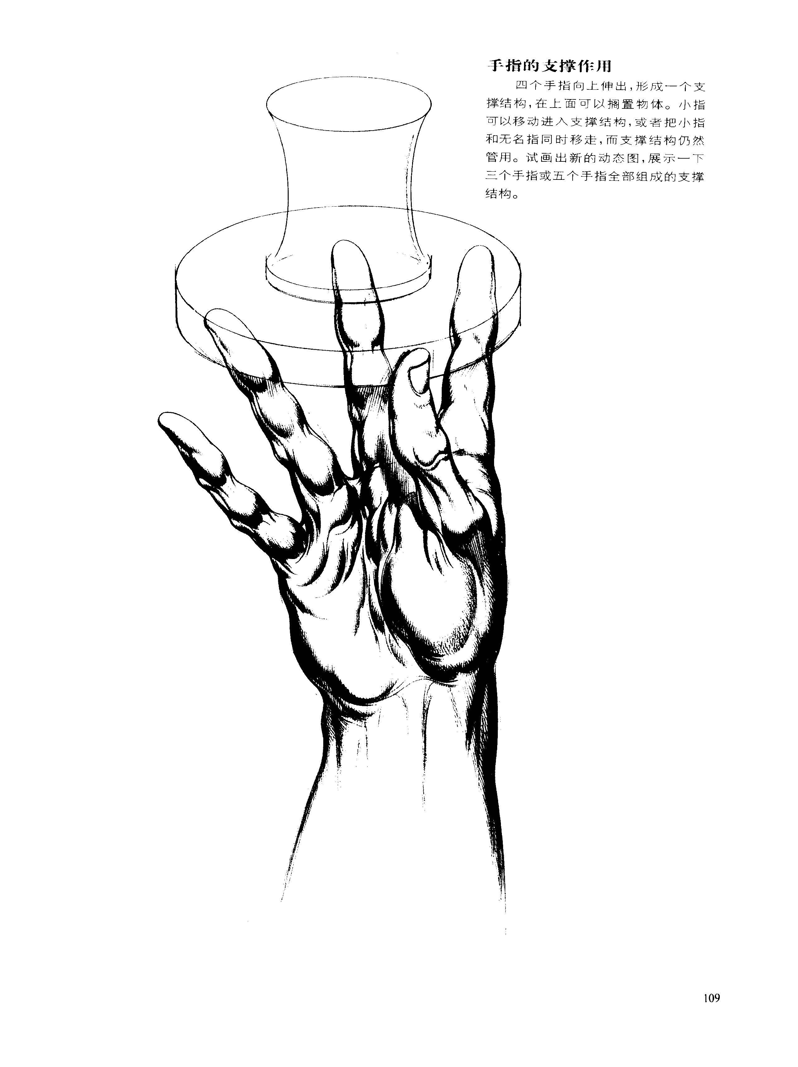 动态素描手部结构充当工具的手伯恩霍加思