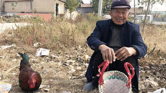 纯喂粮食的老公鸡多少钱一斤70岁农村大爷说出价格真不便宜