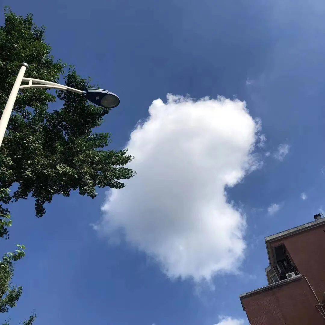 没有热搜的日子里长沙人的朋友圈热搜应该是怎样的