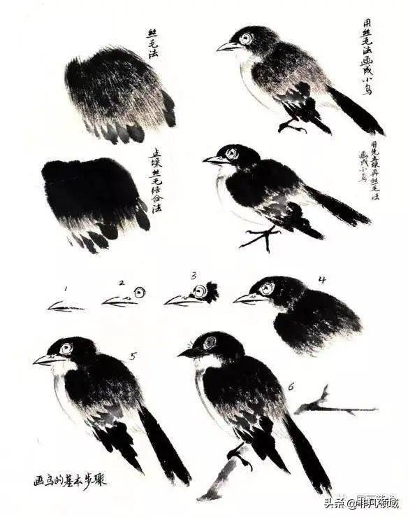 图文教程中国画入门之写意花鸟