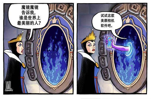 魔镜告诉我谁是可爱小宝贝萌宠碰上镜子会有怎样的趣事发生