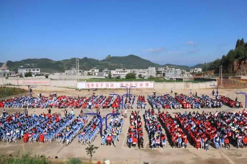 彝良奎香中学校花图片