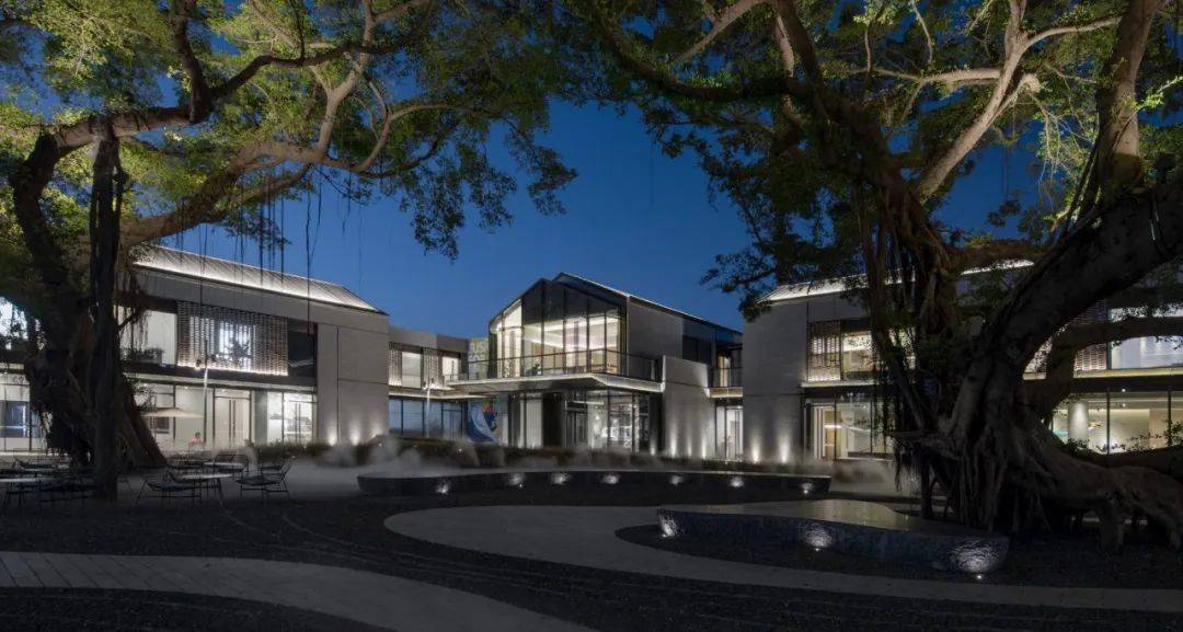 两棵百年古榕树福州阳光城檀境