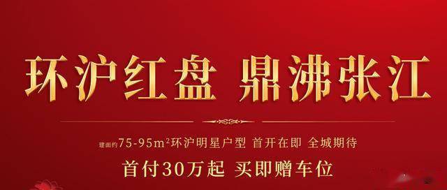 2020环沪红盘鼎沸张江 科技城芯 智慧奢宅嘉兴金地云栖湾恭迎品鉴