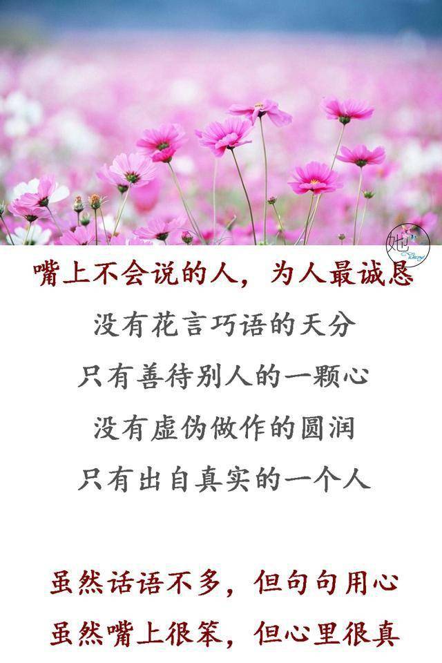 嘴越笨,心越诚!(说的真好)