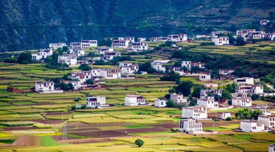 乡村振兴背景下的村庄规划设计新趋势