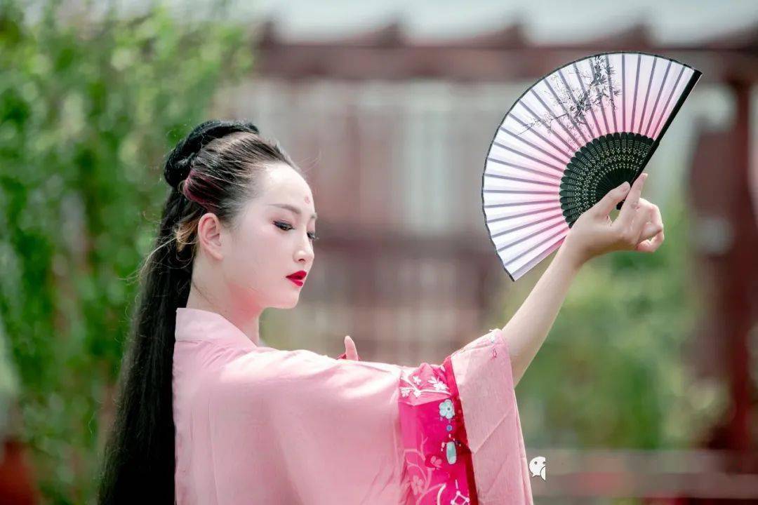 临沭百亩百合花开花争艳正是赏花好时节引来各路美女神仙争奇斗艳