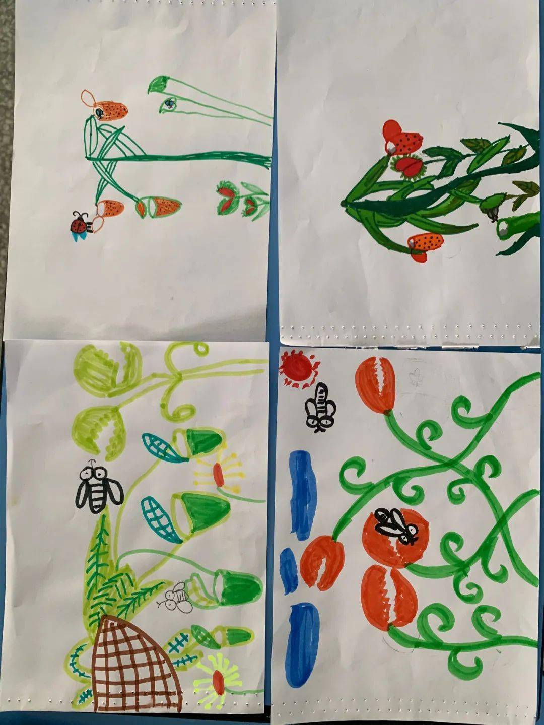 幸福课堂画出神奇植物吃虫草记2018级16班美术课
