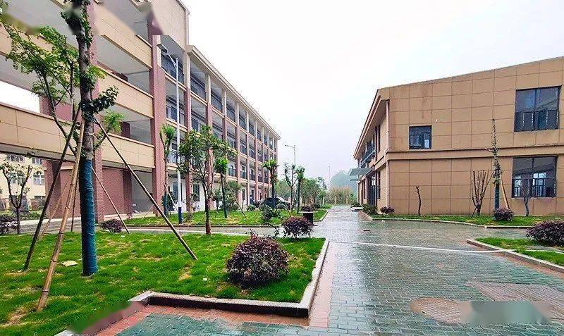 喜大普奔随州鹿鹤学校建成啦在哪儿长啥样快看