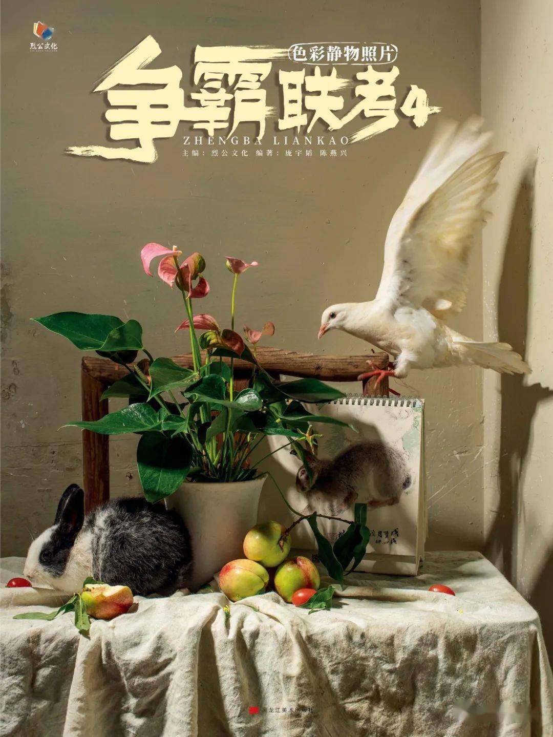 无冕之王争霸联考4色彩静物照片2020年一本格调与实