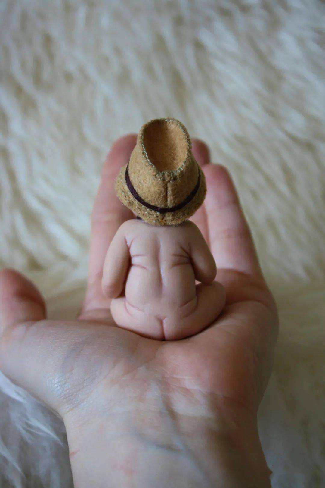 身高不到5cm的拇指娃娃可爱的让人爱不释手