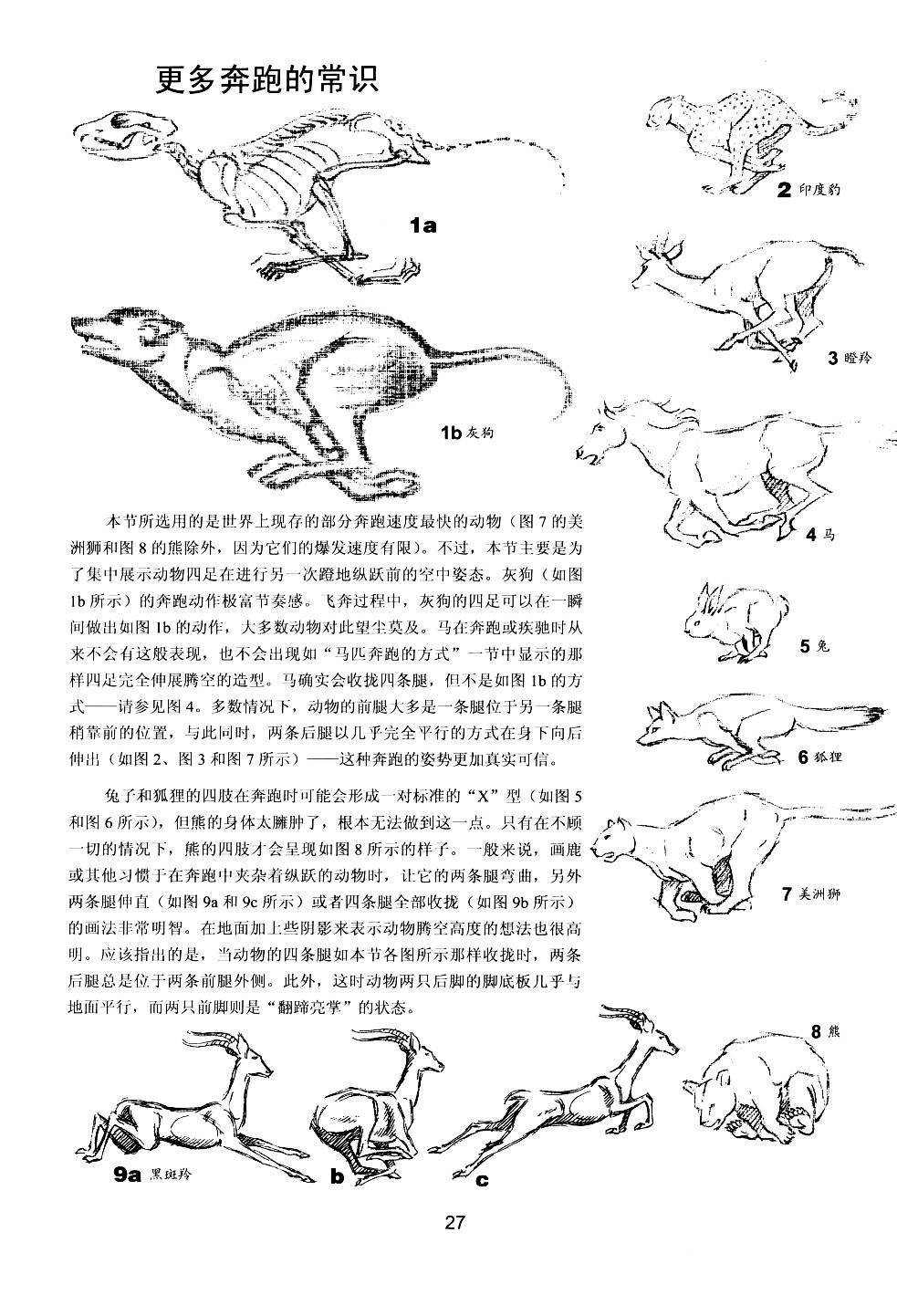 世界绘画经典教程：动物素描-搜狐大视野-搜狐新闻
