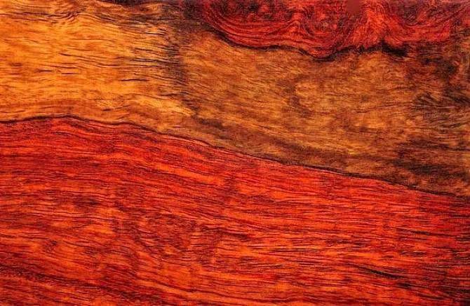 红木资深玩家口中的老红木到底是哪种木头?