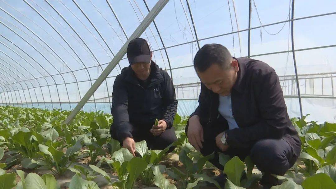 驻村第一书记尚剑:好思路变好出路