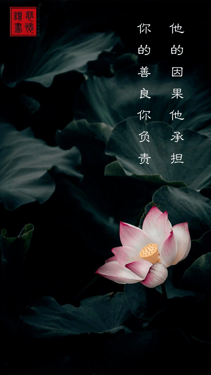 一念禅 | 不要丢掉自己的善良_因果