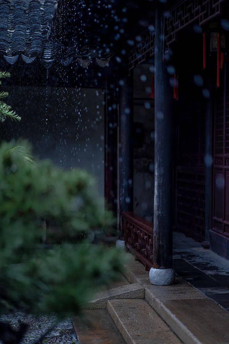 摄影里的意境美|雨来观雨,花开赏花