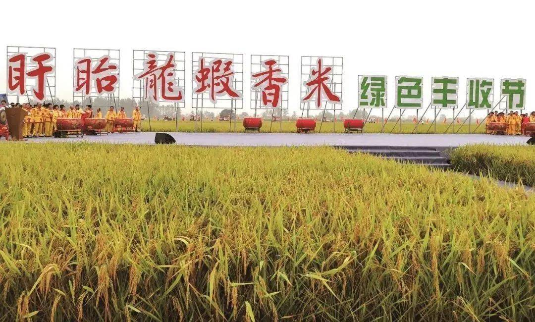 谷物种植合作社：农业合作的新时代