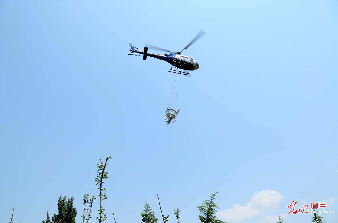 河南汝阳:飞播造林