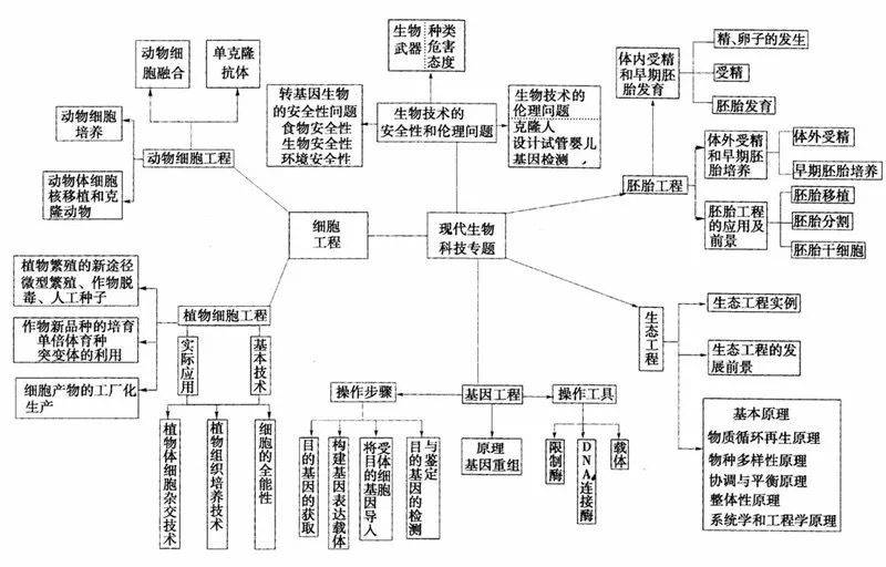 超全高中生物思維導圖20張圖掃清三年知識點