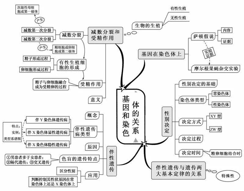 超全高中生物思維導圖20張圖掃清三年知識點