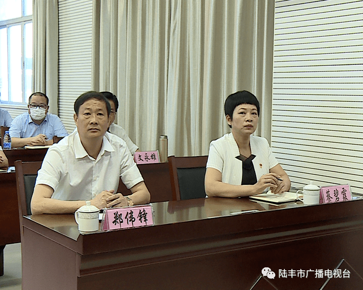 市领导许伟明,欧阳柳,沈伟贤,郑伟锋,张壮义,蔡碧霞在陆丰分会场参加