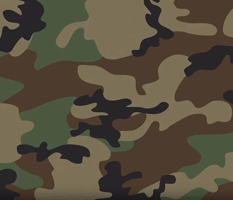 自1981年开始,林地迷彩就是美国空军,海军陆战队等部队 的默认迷彩服