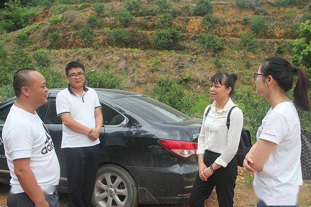 乡苏田村指导微田园建设雅瑶乡"融安金桔"微田园建设点图文:李中华
