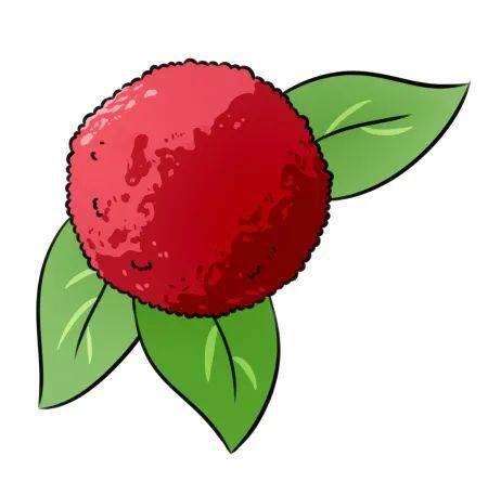 又是杨梅季,吃之前先了解下这些!