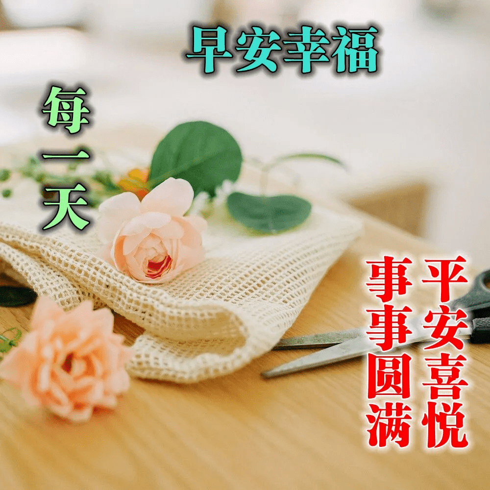 6月22日早上好適合群發給朋友的早上問候祝福語 唯美花朵帶祝福語圖片