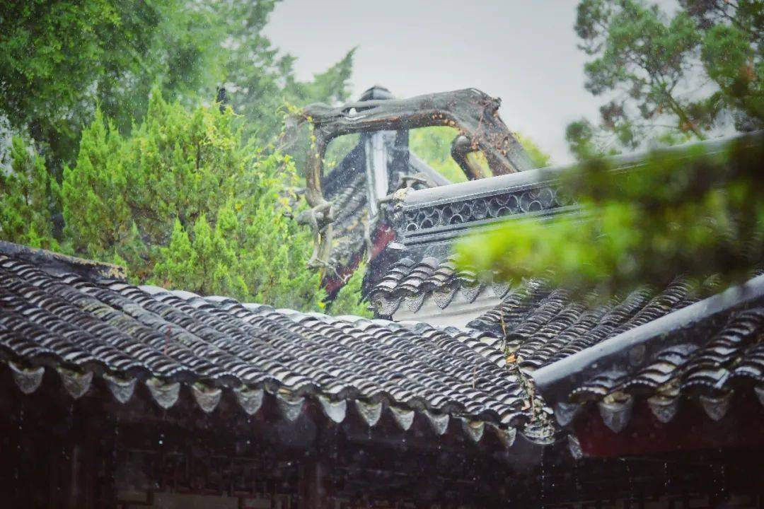 绿玉青瑶洞天听雨然后,看见了狮子林,闯了进去……人也变得狼狈.