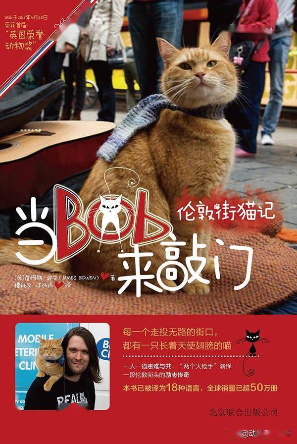 流浪猫鲍勃英文海报图片