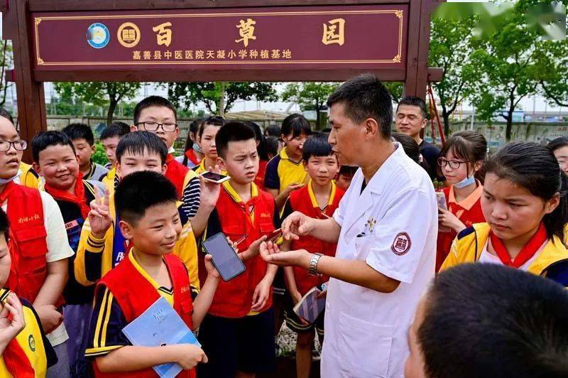 校园新闻中医文化进校园百草园里识草药嘉善县天凝小学种植基地启动