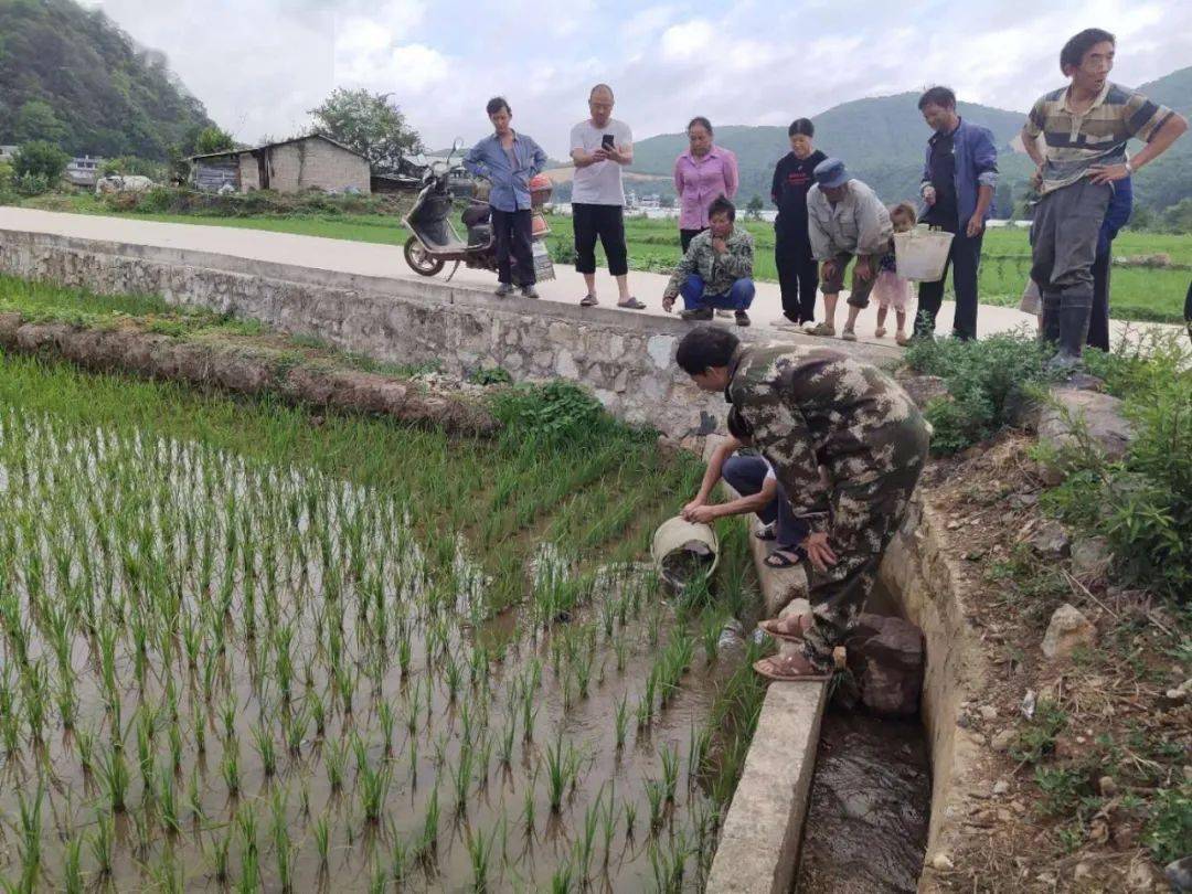 禄丰县勤丰镇图片