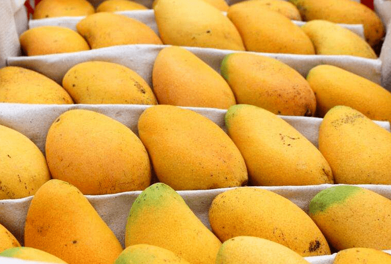 市场海南芒果季尾期价格出现回升