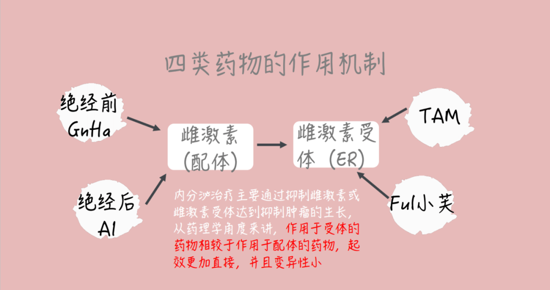 小芙带你看王永胜教授点评乳腺癌内分泌治疗的发展之旅