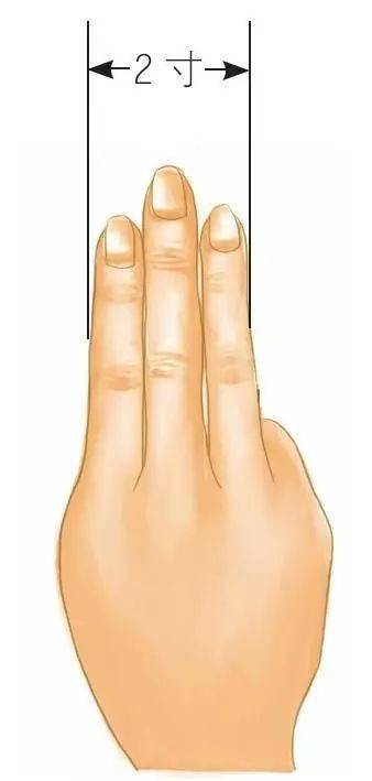 四指横寸:将被按摩者的食指,中指,无名指,小指并拢,它们中间的宽度为3