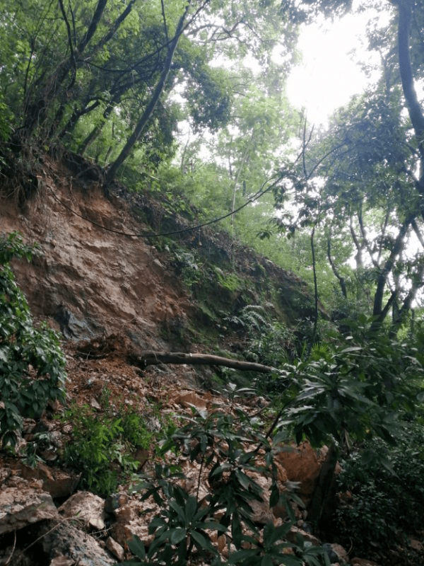乐平登高山发生山体滑坡;乐平一汽车司机占用非机动车道行驶;​乐平