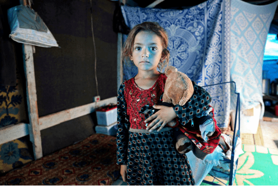 五颜六色灰雀自恋麝香豌豆花詹妮贝斯