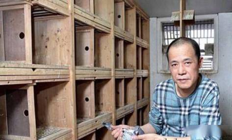 上海王臣引种备用