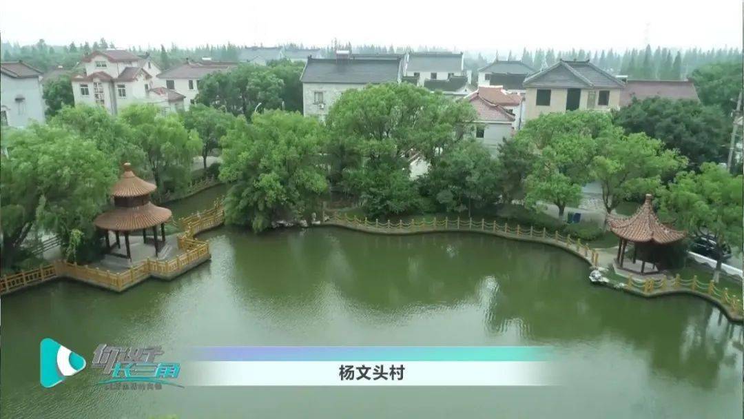 了全国文明村,江苏省卫生村,苏州市"美丽镇村"建设示范村—杨文头村