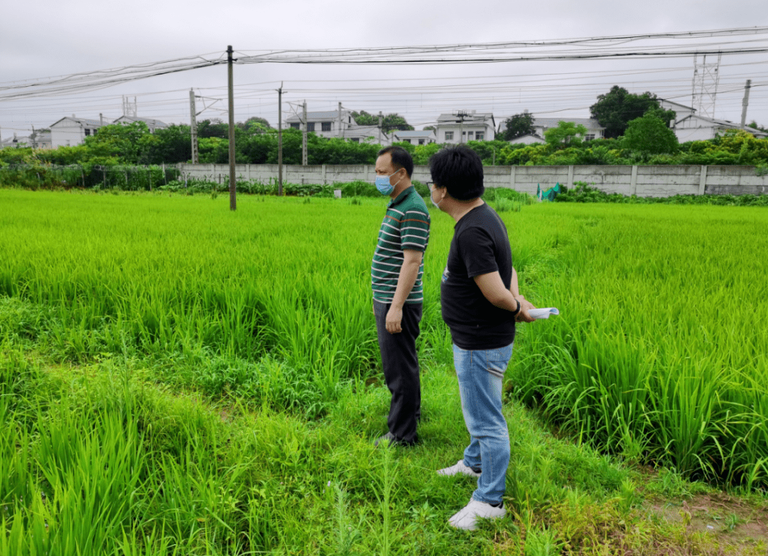 在新祺周管理處