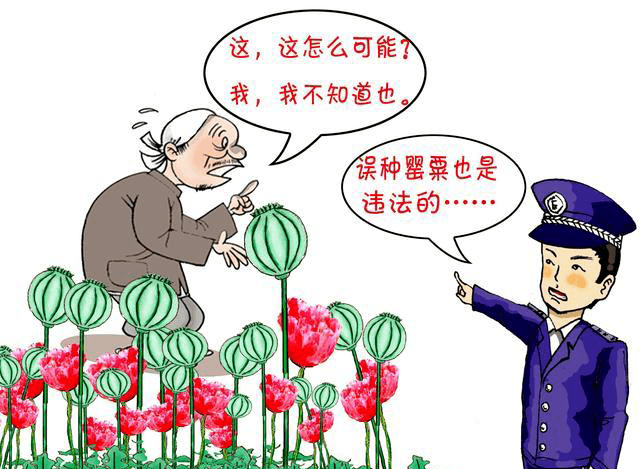 【法官说法】吸毒=慢性自杀,贩毒=害人害己