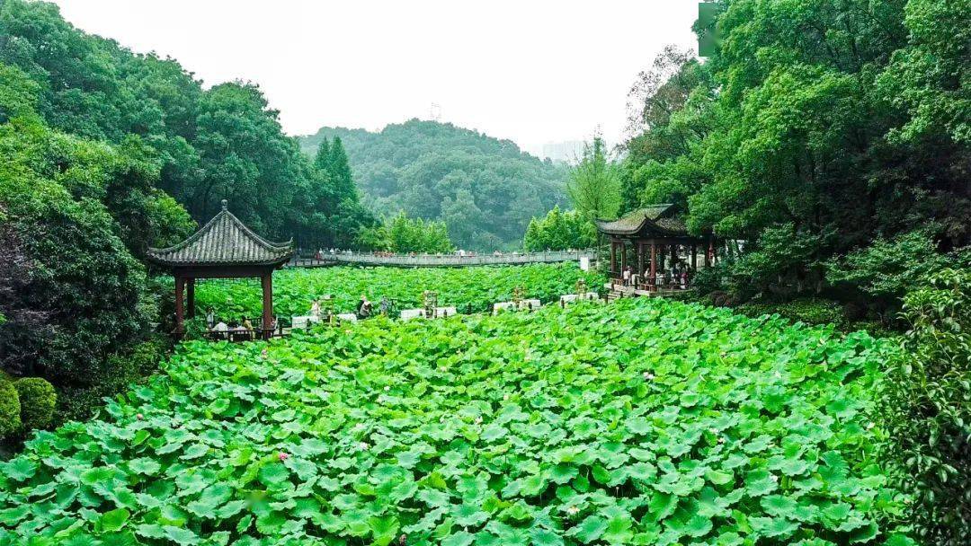 都江堰郊外有哪些旅游景点？ 都江堰有哪些好玩的旅游景点？