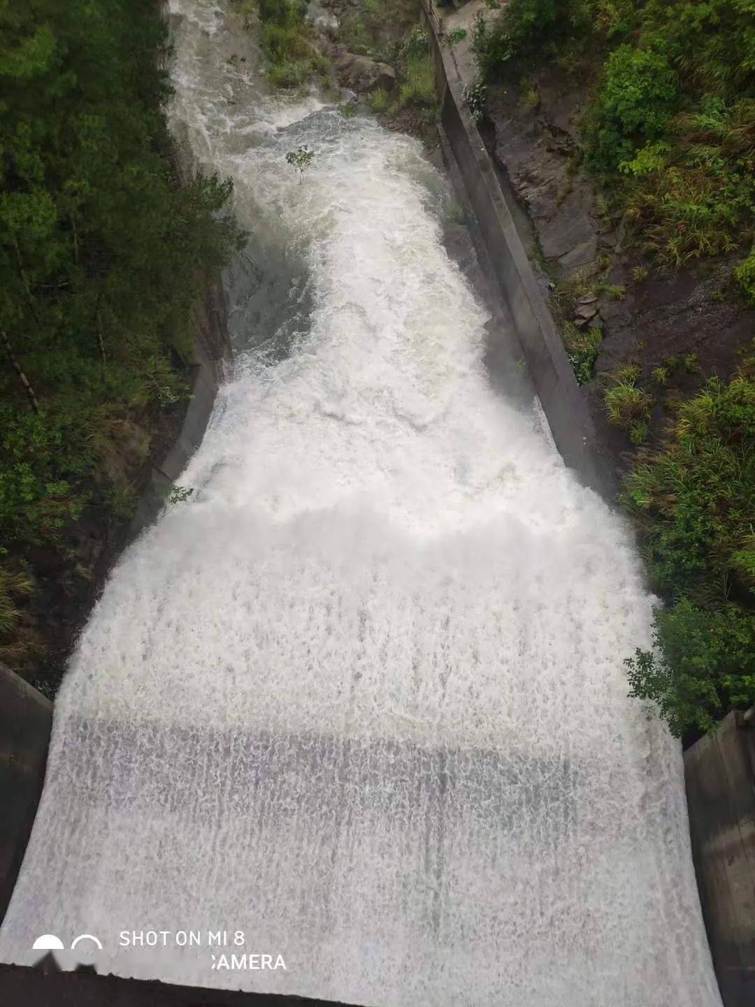 新洲道观河水库图片