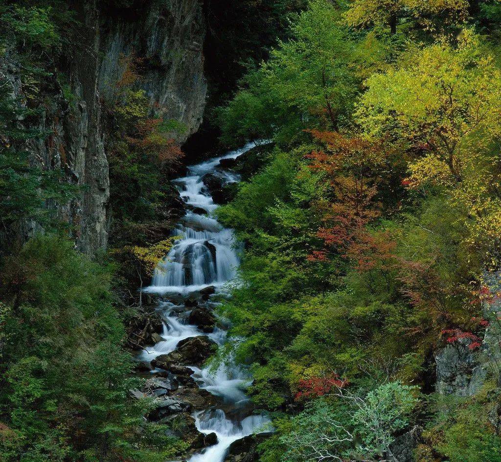 幽湖之声山涧小溪作者骄阳似火朗诵幽湖