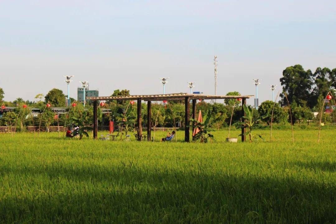 古梅生态农业园最新的营业时间来了